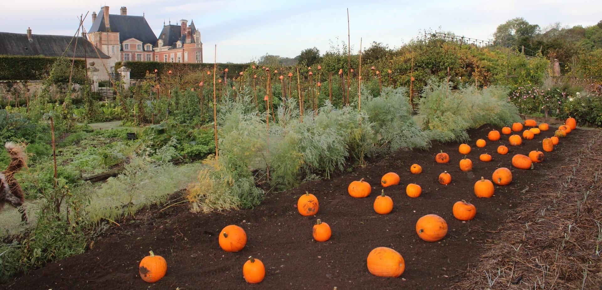 Jardin à la française du Château de La Bussière