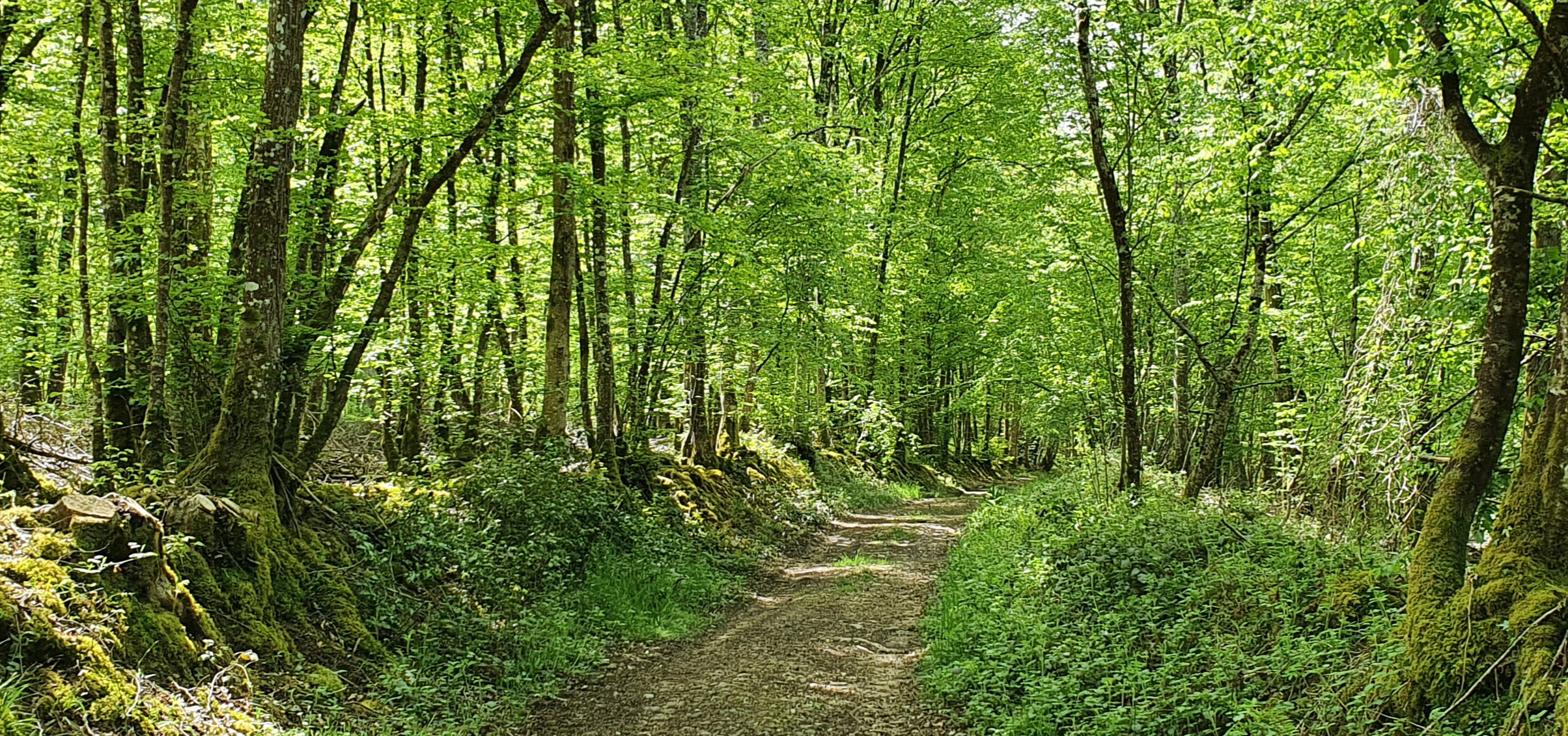 les chemins de promenade